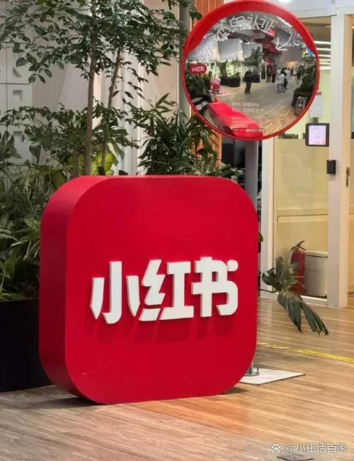 最近小红书怎么都打不开了截图