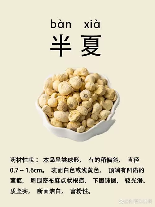 半夏分为几个品种