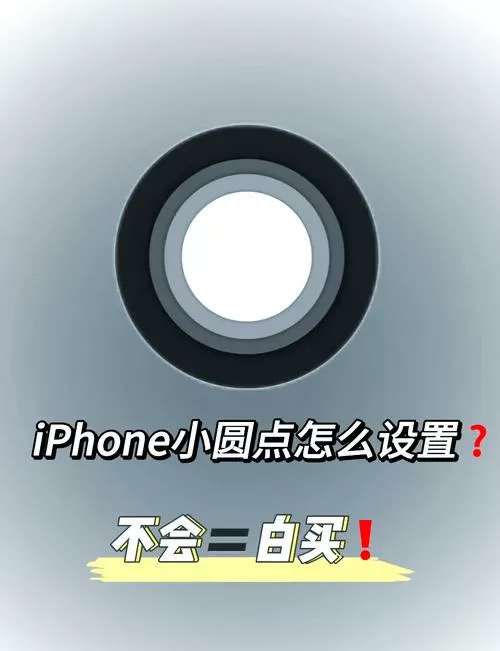 小白点在哪里设置截图