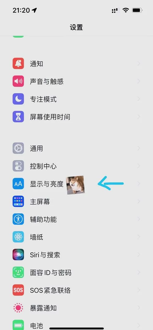 如何关闭亮度自动调节功能