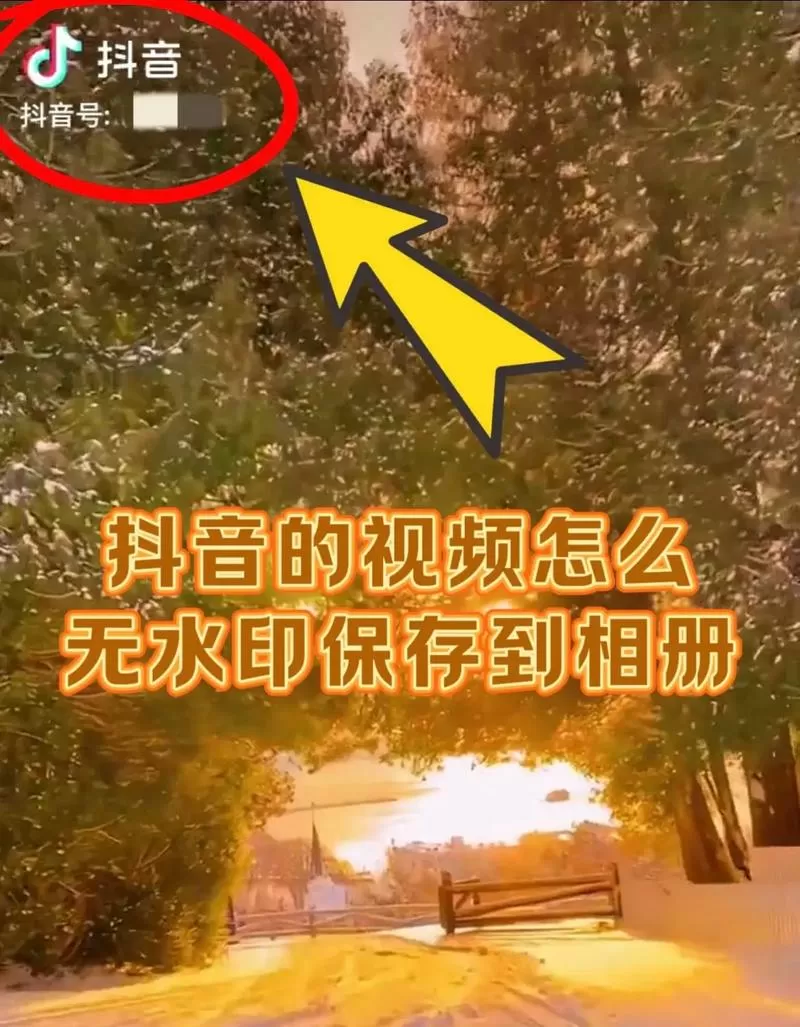 别人的抖音短视频怎么保存到相册截图