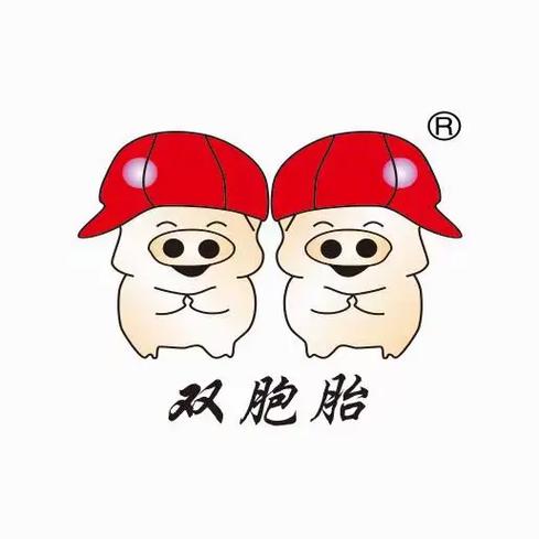 一个粉色一个蓝色的双胞胎动画片