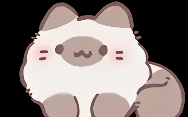 猫咪团子视频