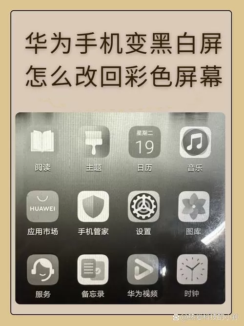 手机彩屏变成黑白怎么恢复