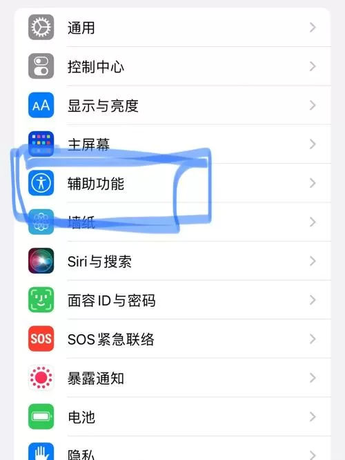 iphone控制球怎么开