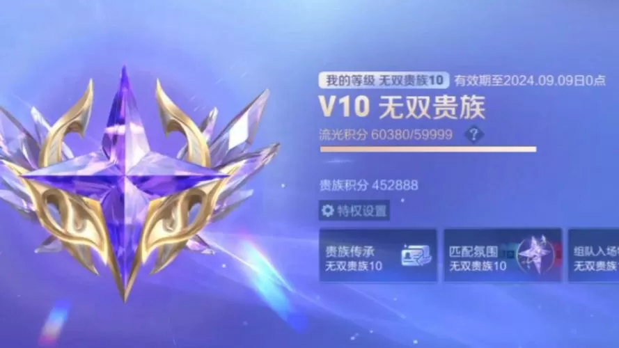 王者贵10皮肤共享规则
