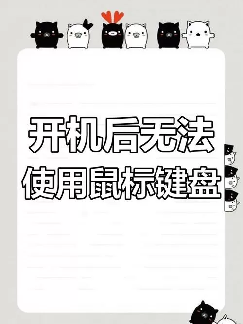 电脑开机后鼠标和键盘都没反应
