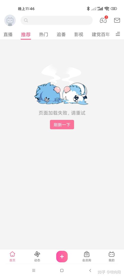 b站没有缓存选项