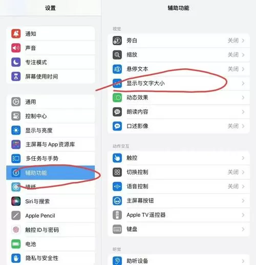 ipad屏幕变黑白了怎么调