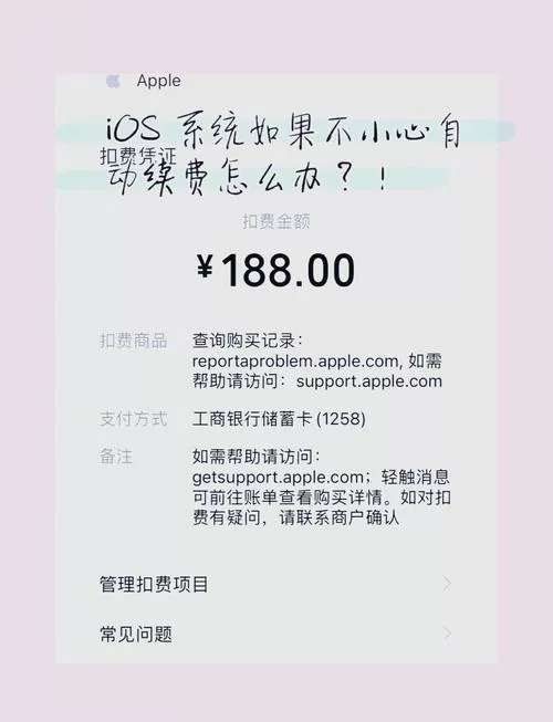 苹果如何申请退款自动续费缩略图