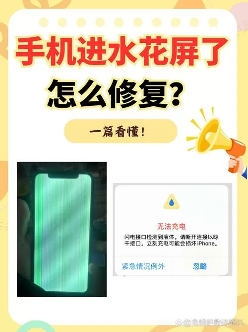 手机进水屏幕失灵了怎么办