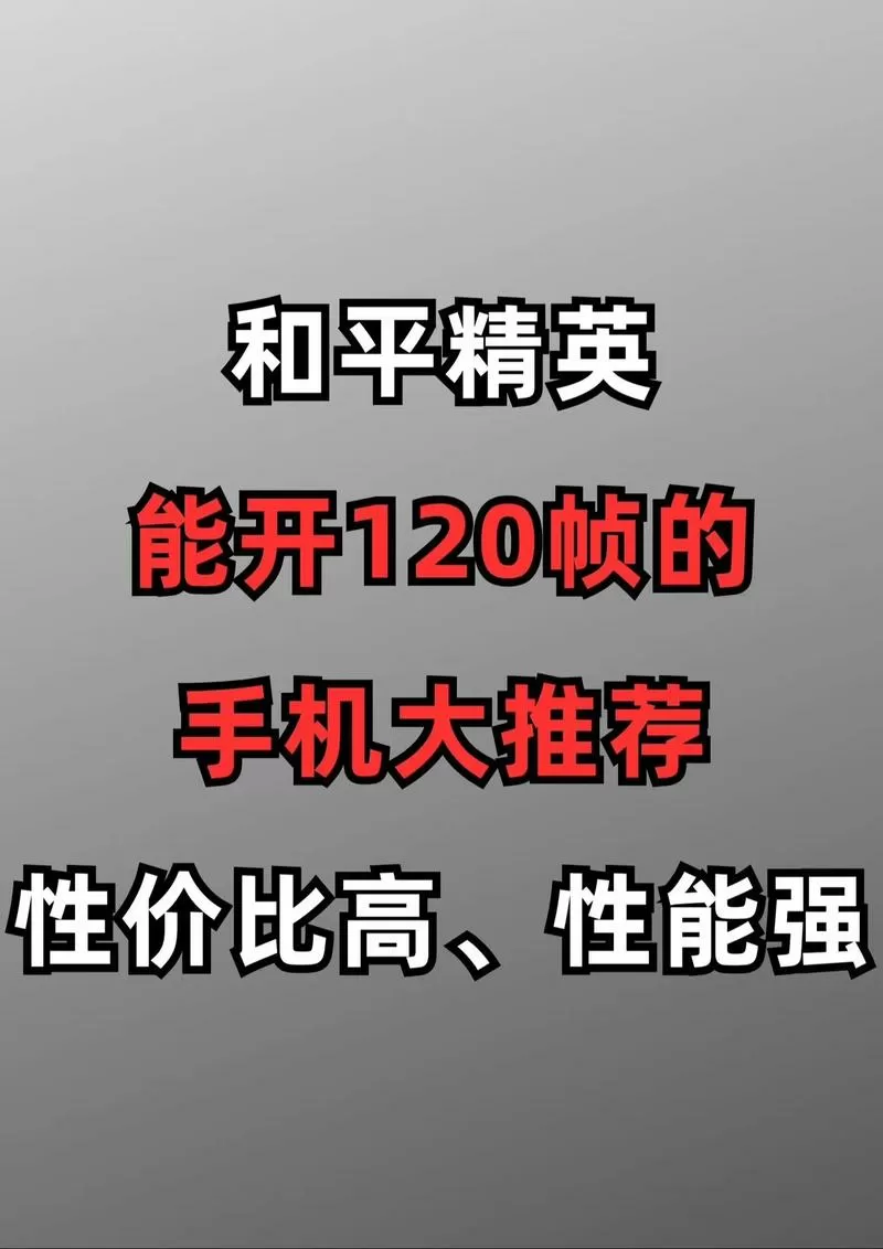 iqoo和平精英帧数设置图标