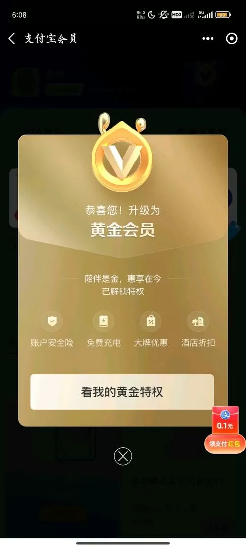 支付宝黄金会员