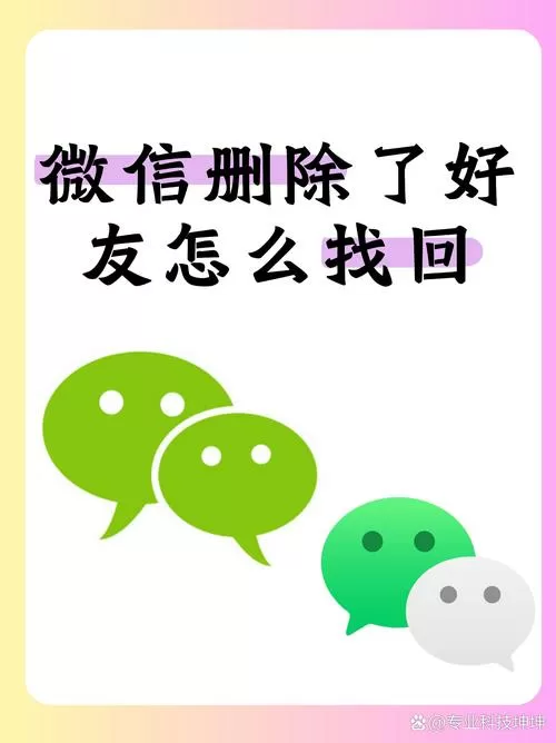 为什么微信删除不了好友