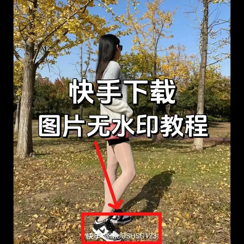 快手下载的作品怎么去除水印截图