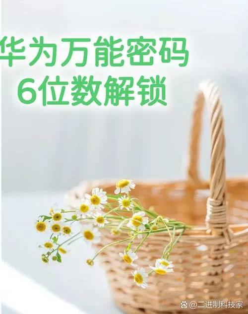 6位华为万能解锁密码