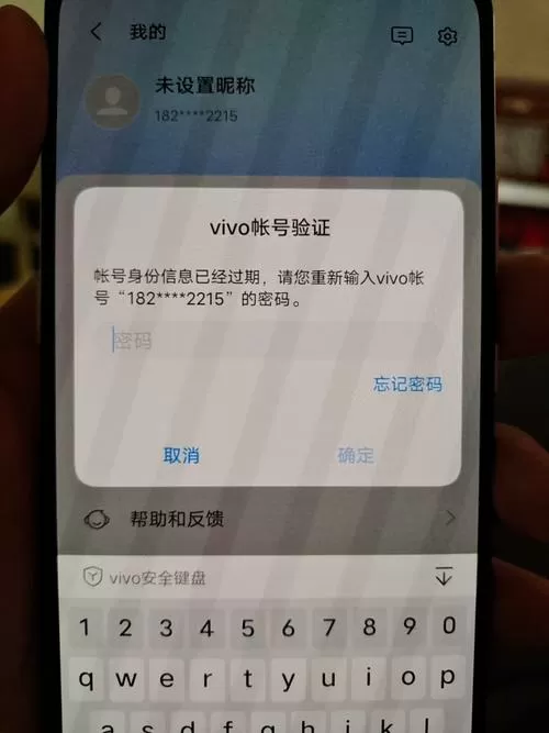 vivo账号密码三小时以后重试截图