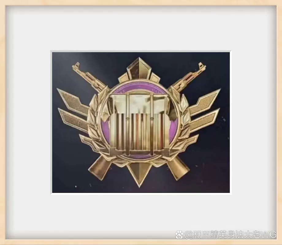 和平精英天降神兵勋章