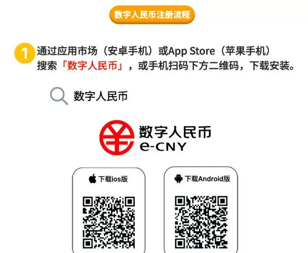 数字人民币的实名认证在哪看到
