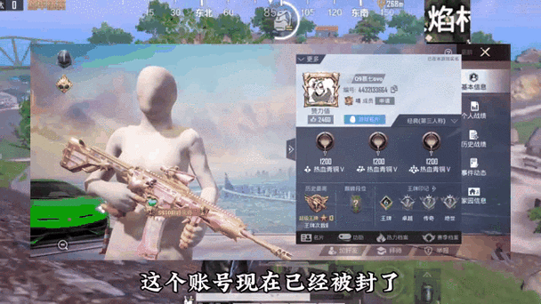 把和平精英隐藏了