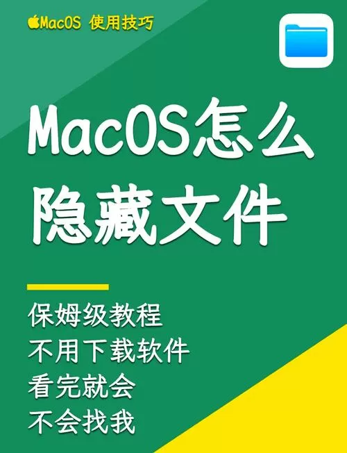 打开隐藏文件夹方法