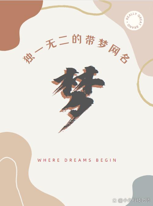 我终于圆了一个梦700字