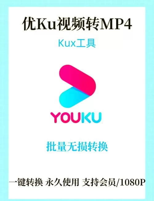 优酷视频下载后怎么转换成mp4
