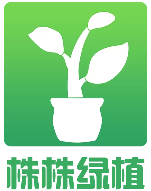 绿植盆栽进货渠道缩略图