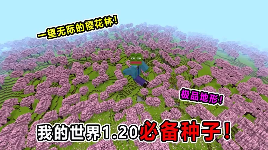 我的世界桃林种子