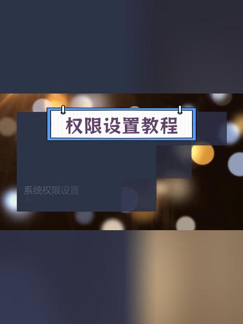 软件授权在哪里设置
