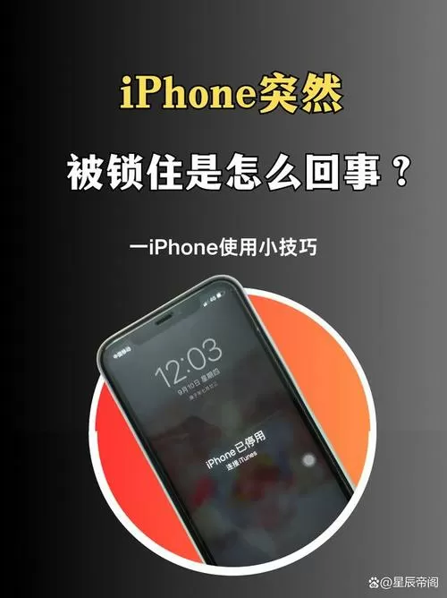 手机已被锁定是怎么回事