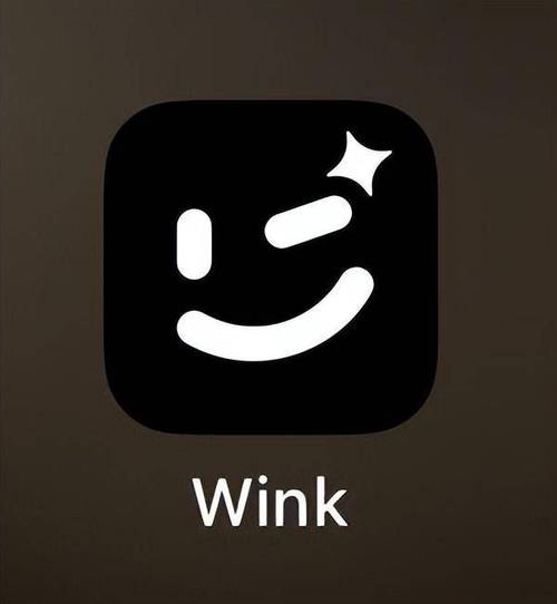 wink 破解版图标
