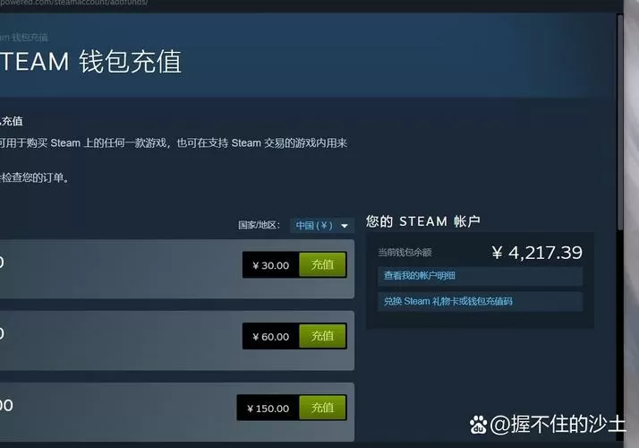 steam余额待处理1到2天