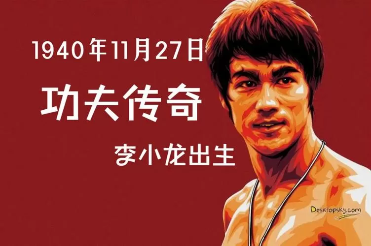 李小龙功夫视频截图
