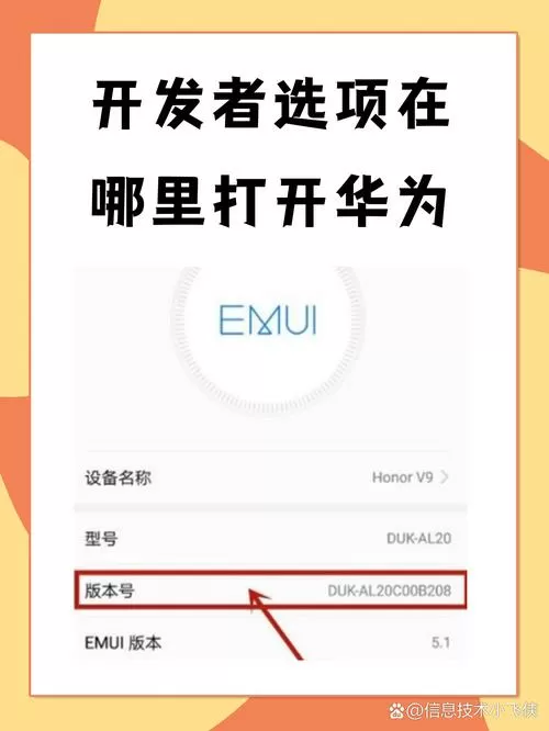 华为开发者选项在哪里