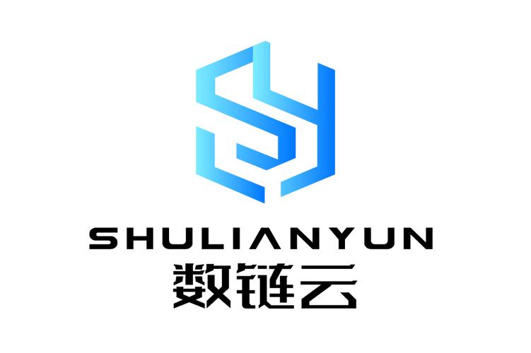 数链通app下载图标