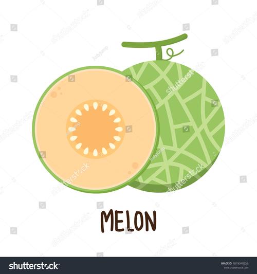 男生用melon的寓意