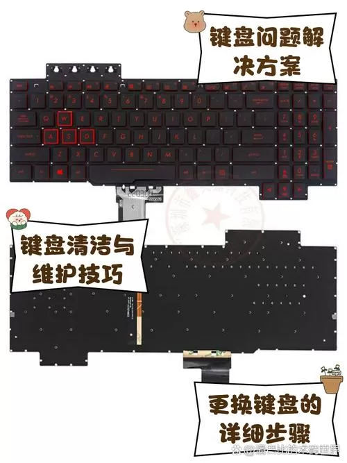 华硕电脑键盘字母打不出来怎么办