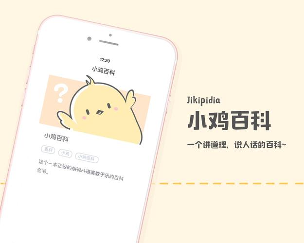 小鸡词典抄和哪个大厂图标