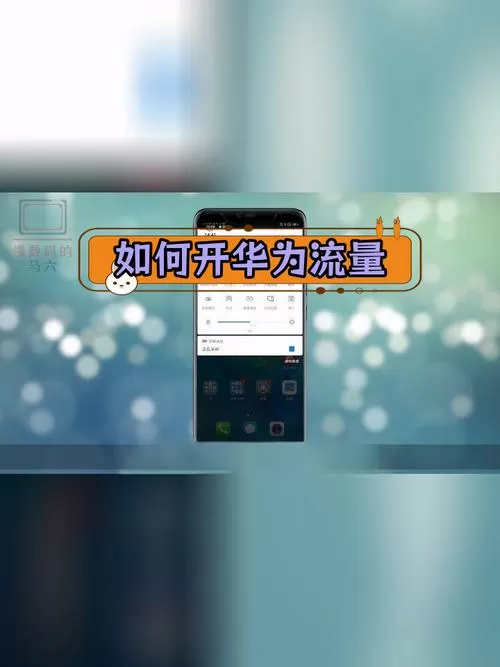 华为怎么显示流量使用情况截图