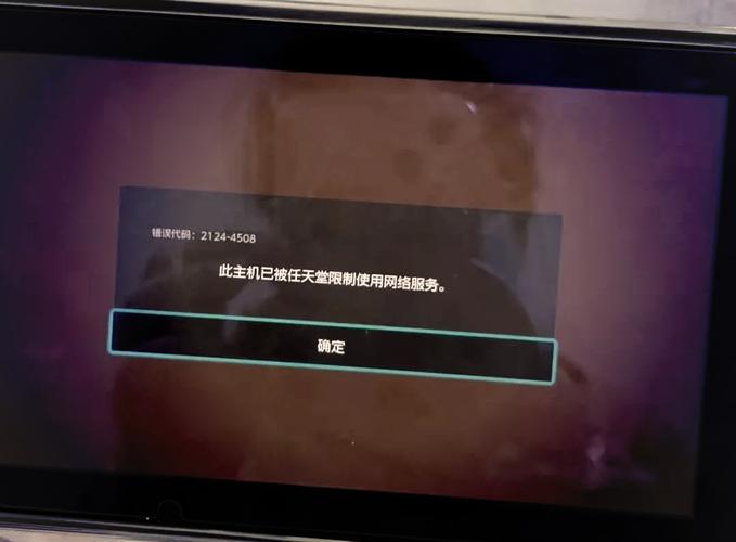 ns机子被ban账号还可以用吗截图