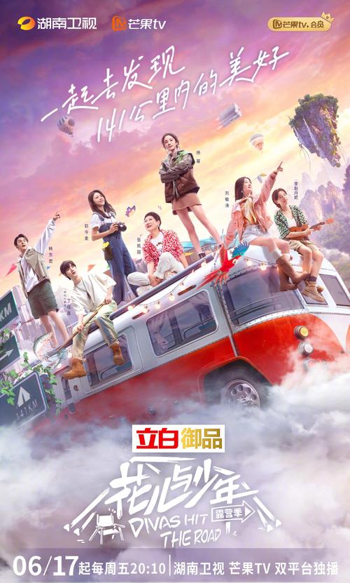 花儿与少年电子版