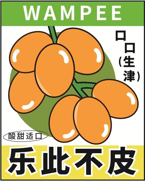 黄皮漫画无广告纯净版图标