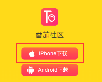 番茄区社