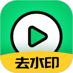 视频去水印