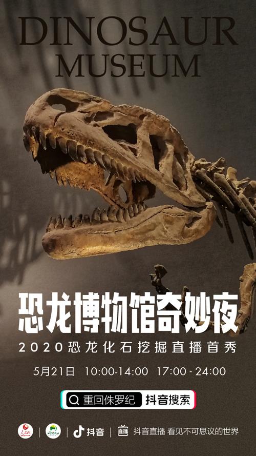 恐龙化石挖掘现场视频