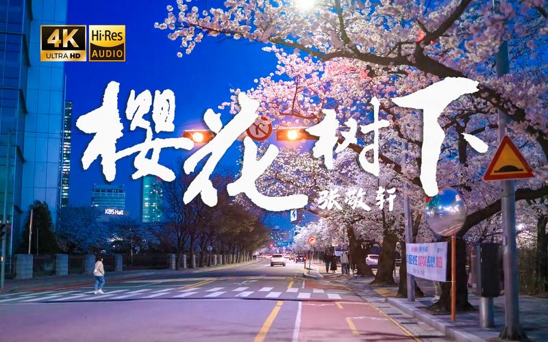 樱花树下在线观看极速版