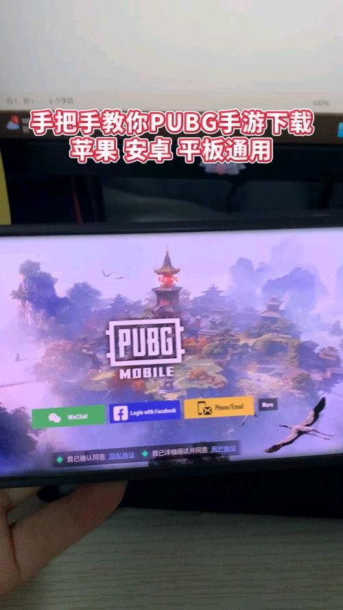 pubg日服手游安卓紫色版