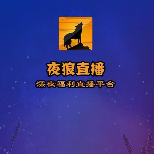 夜狼直播官网手机版