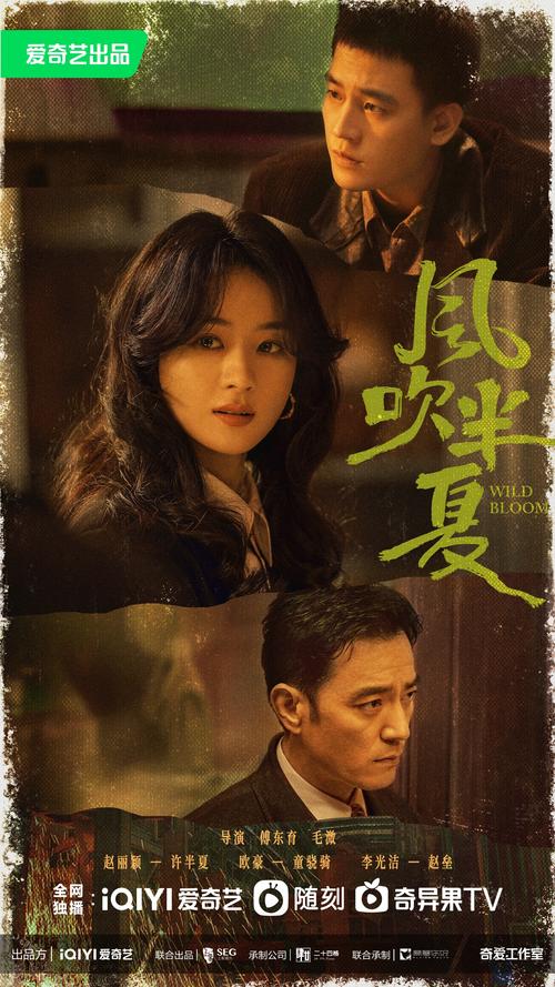 风吹半夏电视剧剧情介绍电视猫去限制版